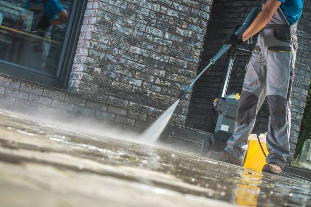 Best Dumpster Area Cleaning  in Hackensack, NJ